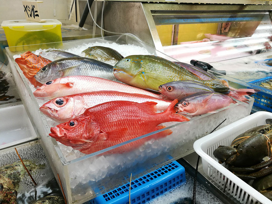 fresh fish for sale on ice